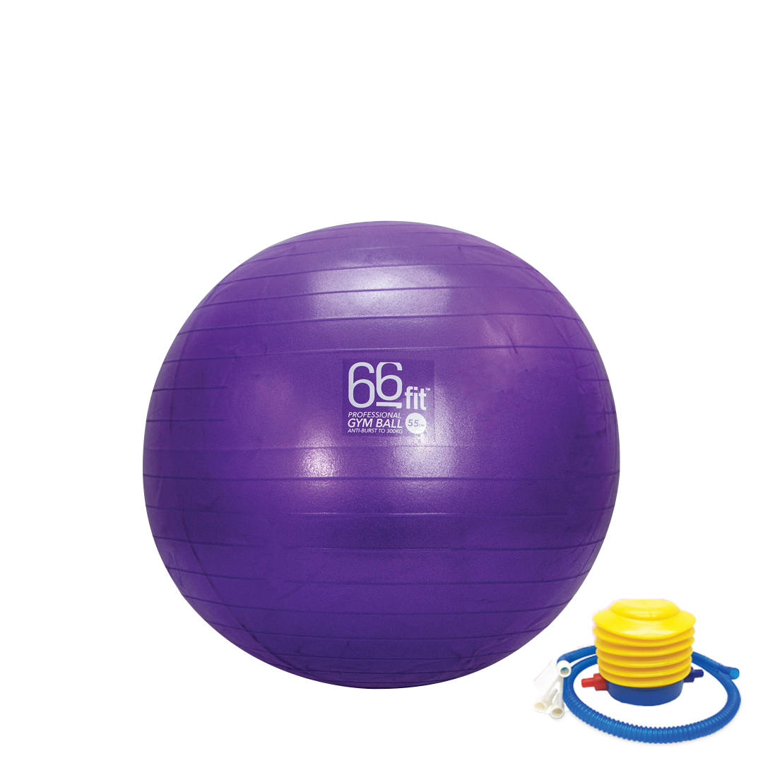 66fit Exercise Gym Balls