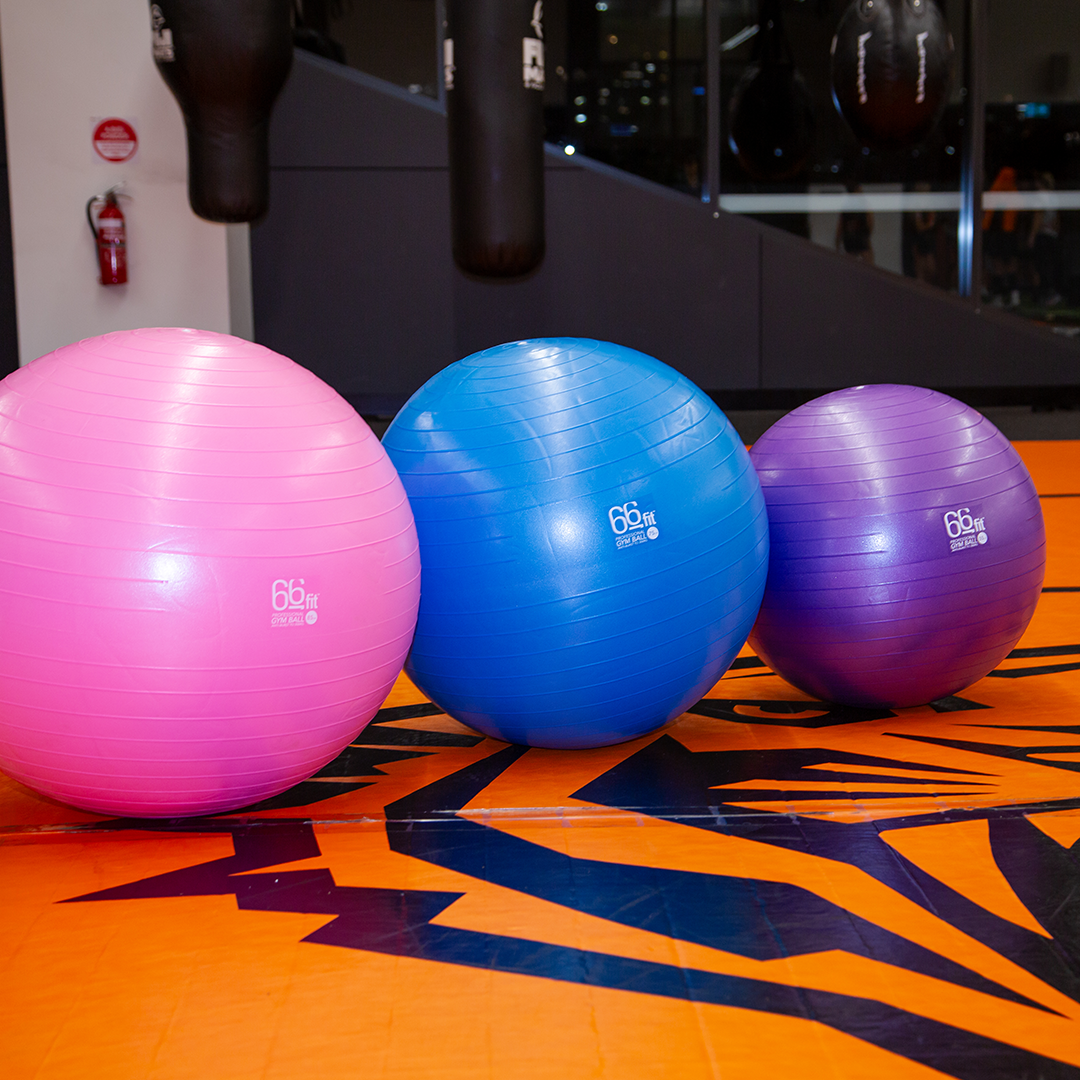 66fit Exercise Gym Balls